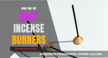 Incense Burners: Best Options for Your Space