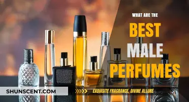 Top Masculine Fragrances: Best Male Perfumes for Every Occasion