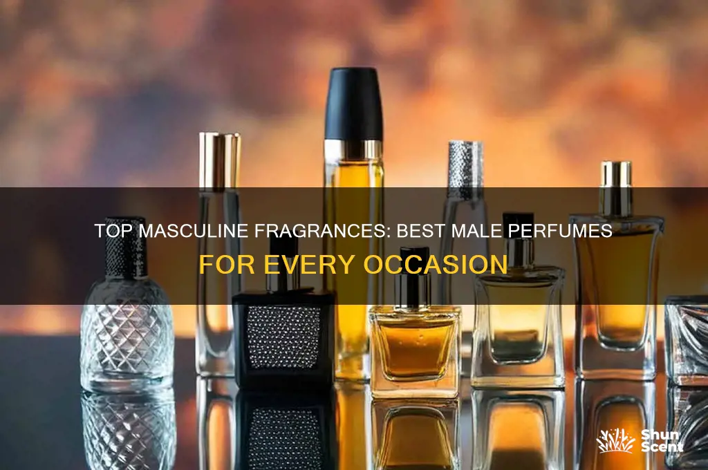 what are the best male perfumes