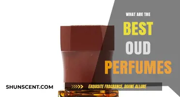 Discover the Most Luxurious Oud Perfumes for Every Occasion