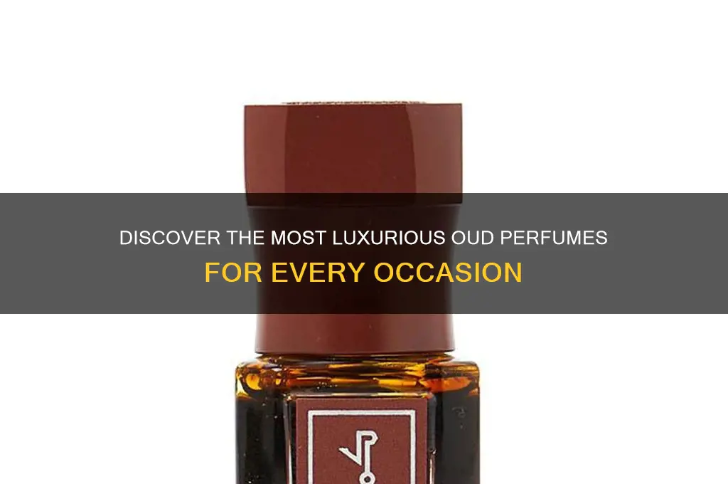 what are the best oud perfumes