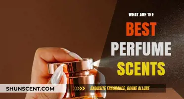 Discover the Most Captivating and Timeless Perfume Scents to Love