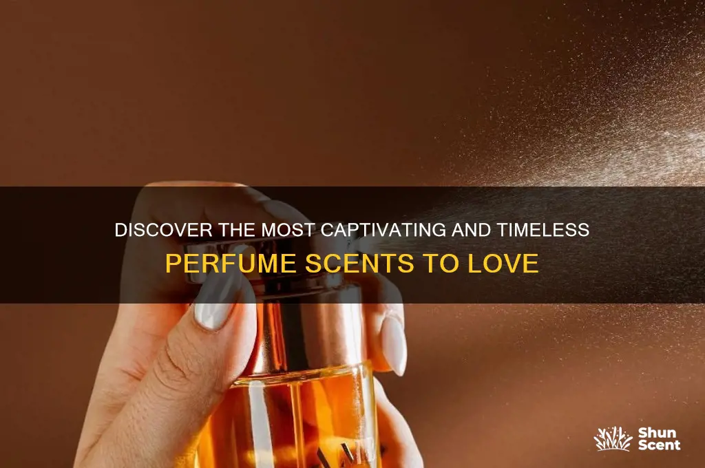what are the best perfume scents