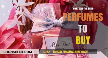 Top Perfumes: Our Ultimate Guide for You