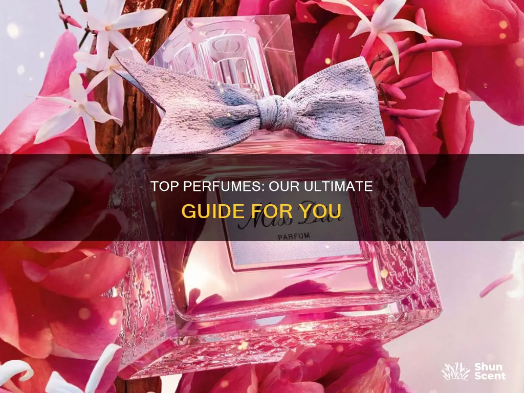 what are the best perfumes to buy