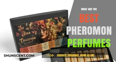 Top Pheromone Perfumes to Enhance Attraction and Confidence Instantly