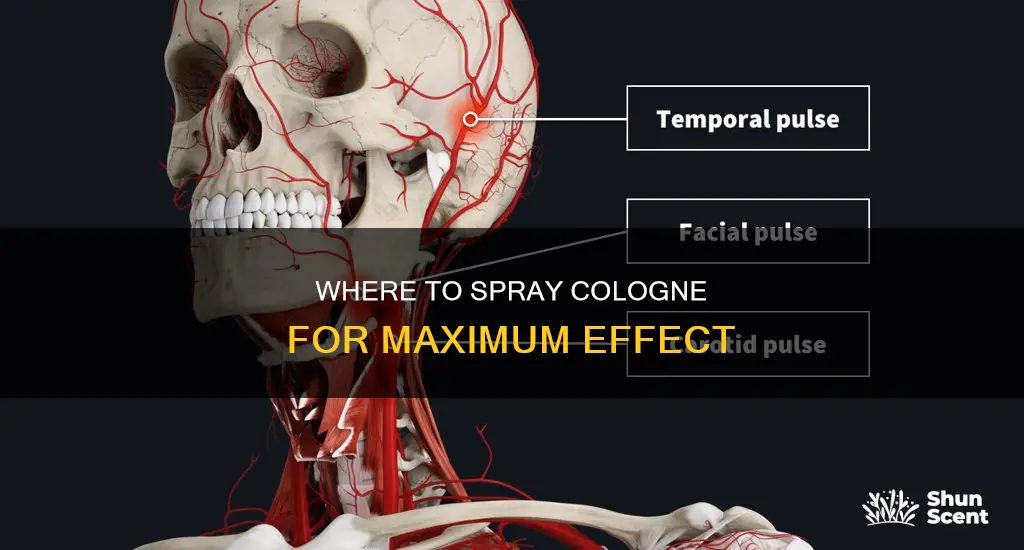 what are the best places to spray cologne