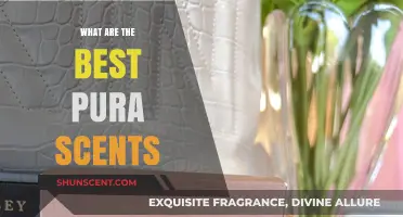 Discover the Most Luxurious Pura Scents for Your Home