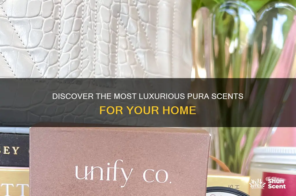 what are the best pura scents