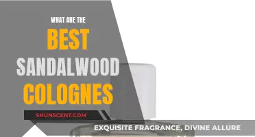 The Best Sandalwood Colognes for Men: Our Top Picks