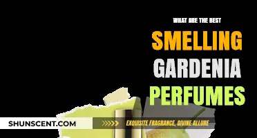 Gardenia Scents: The Best Perfumes for You