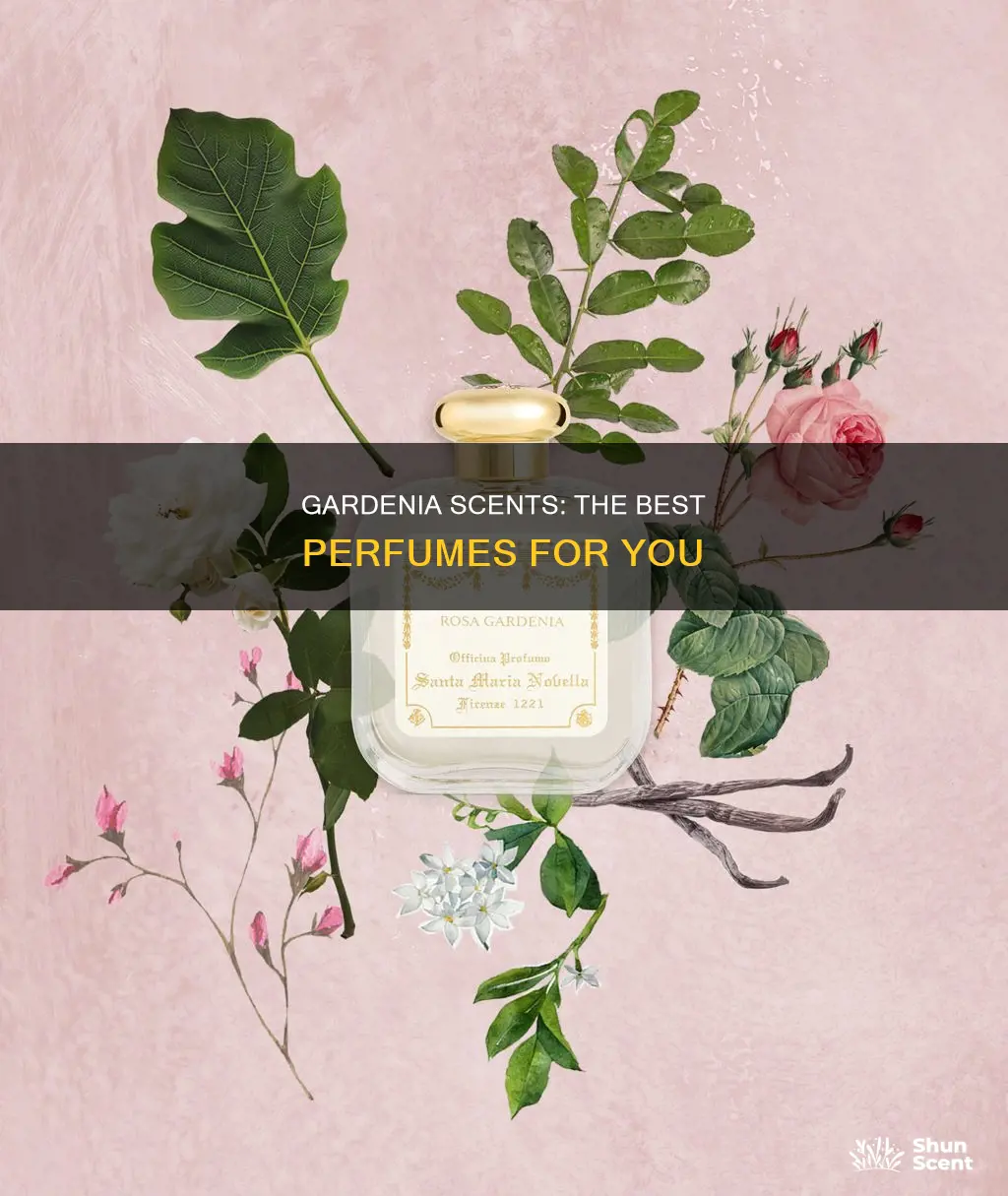 what are the best smelling gardenia perfumes