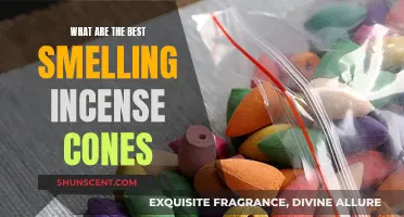 Incense Cones: Which Scents Are the Most Appealing?