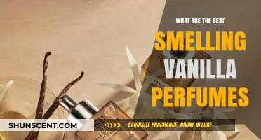 Vanilla Scents: The Best Perfumes for You