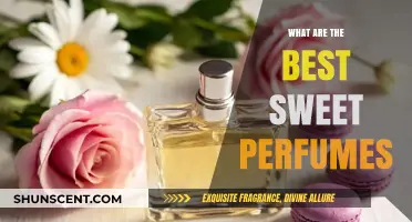 Discover the Most Irresistible Sweet Perfumes to Indulge In