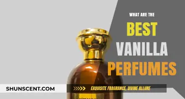 Discover the Most Luxurious Vanilla Perfumes for Every Occasion