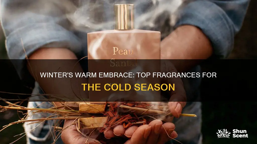 what are the best winter fragrances