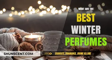 Warm Up Your Winter with These Cozy, Best Seasonal Perfumes