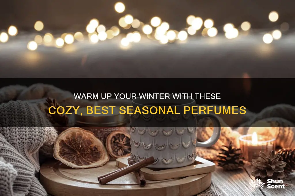 what are the best winter perfumes