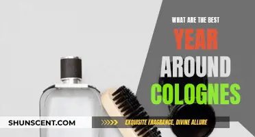 The Best Year-Round Colognes for Men: Our Top Picks