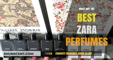Discover Zara's Top Perfumes: A Guide to the Best Scents
