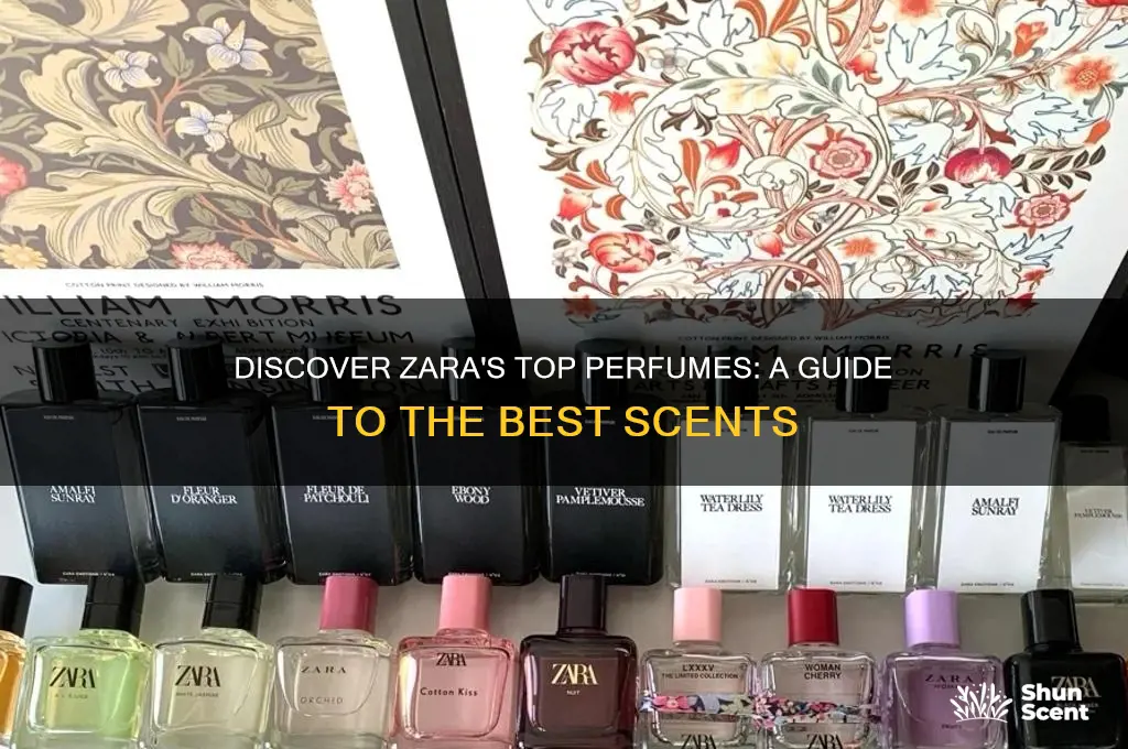 what are the best zara perfumes