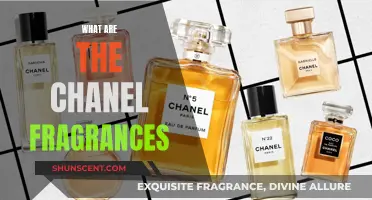 Unveiling the Chanel Fragrance Collection: A Scent Journey