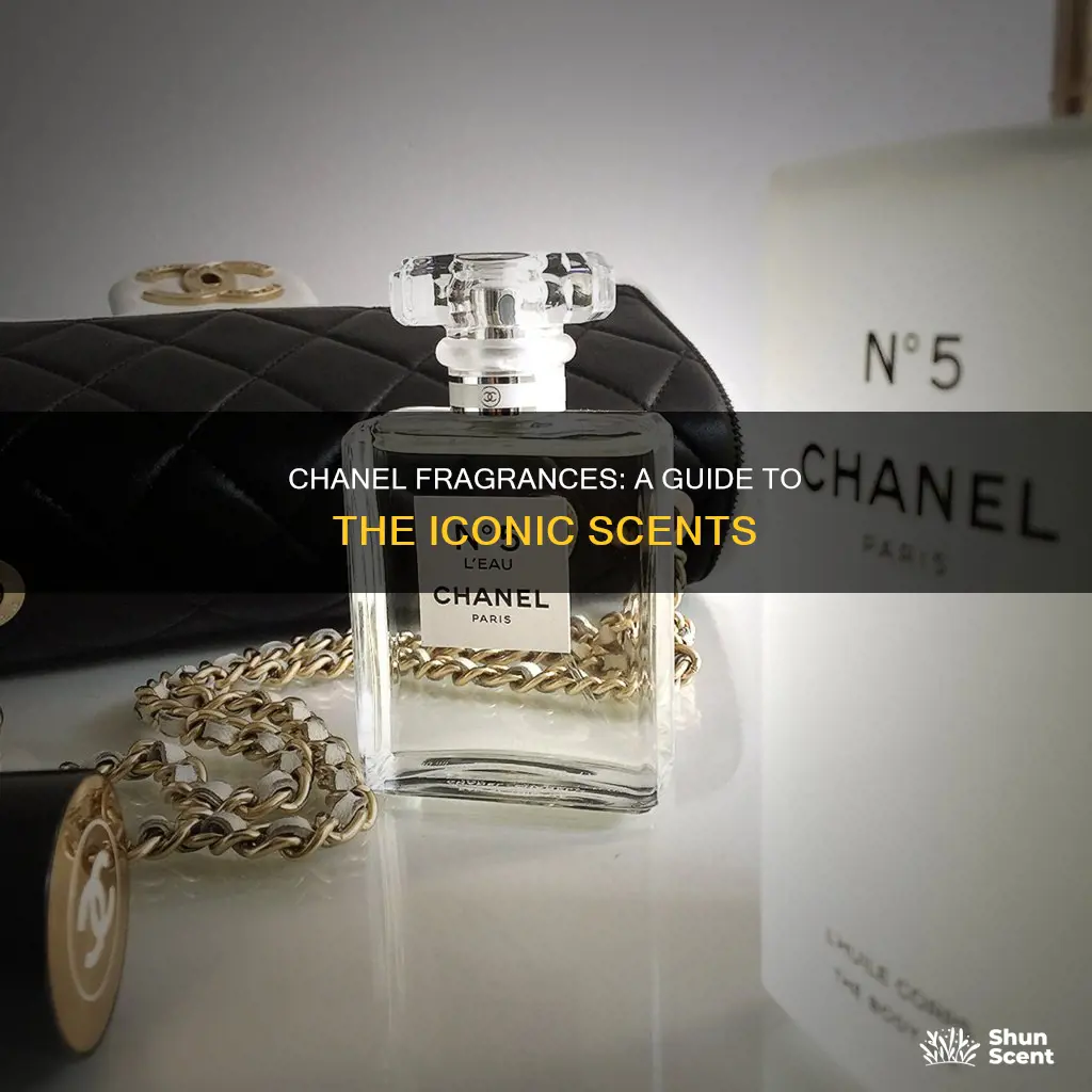 what are the chanel fragrances