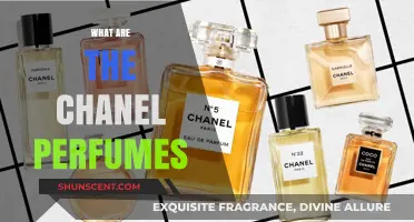 Discover the Iconic Chanel Perfumes: A Guide to Their Timeless Scents