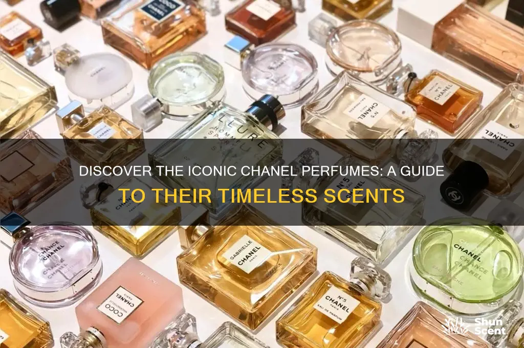 what are the chanel perfumes
