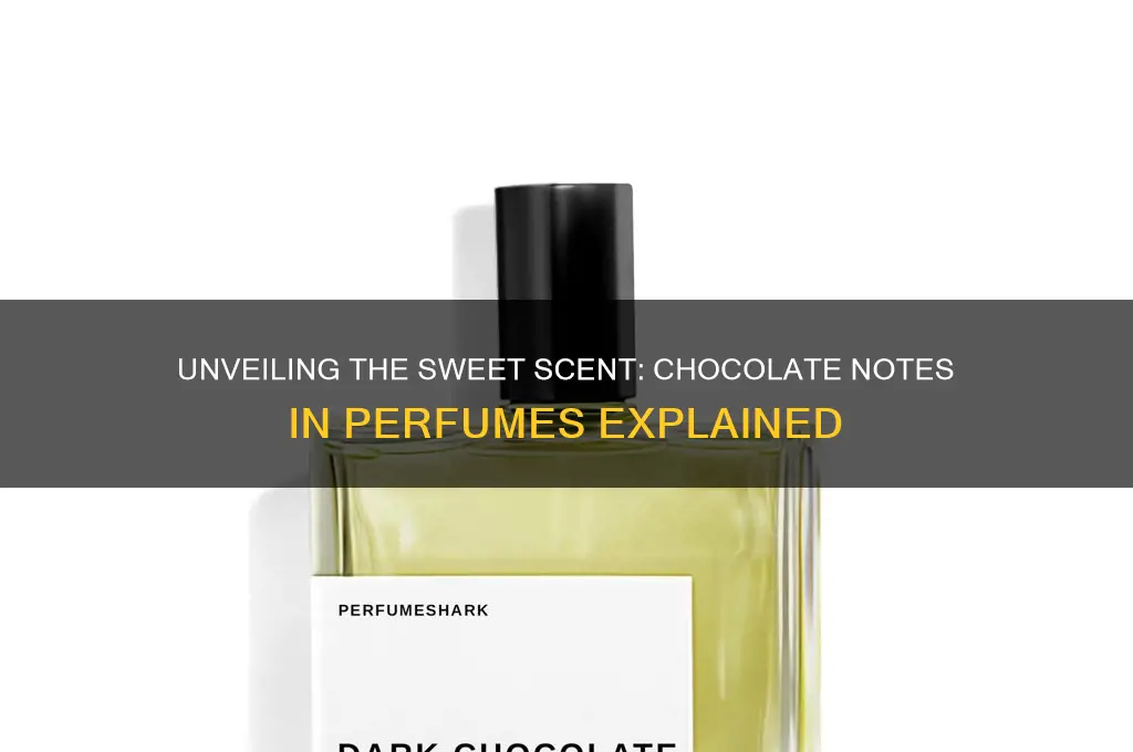 what are the chocolate notes in perfume called