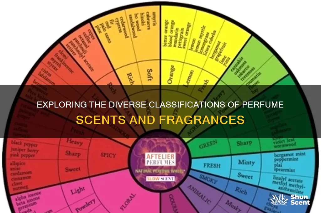 what are the classifications of perfume scents