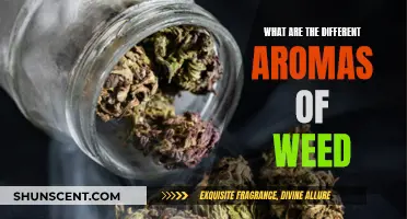 Weed Aroma Exploration: Discovering Unique Scents and Flavors