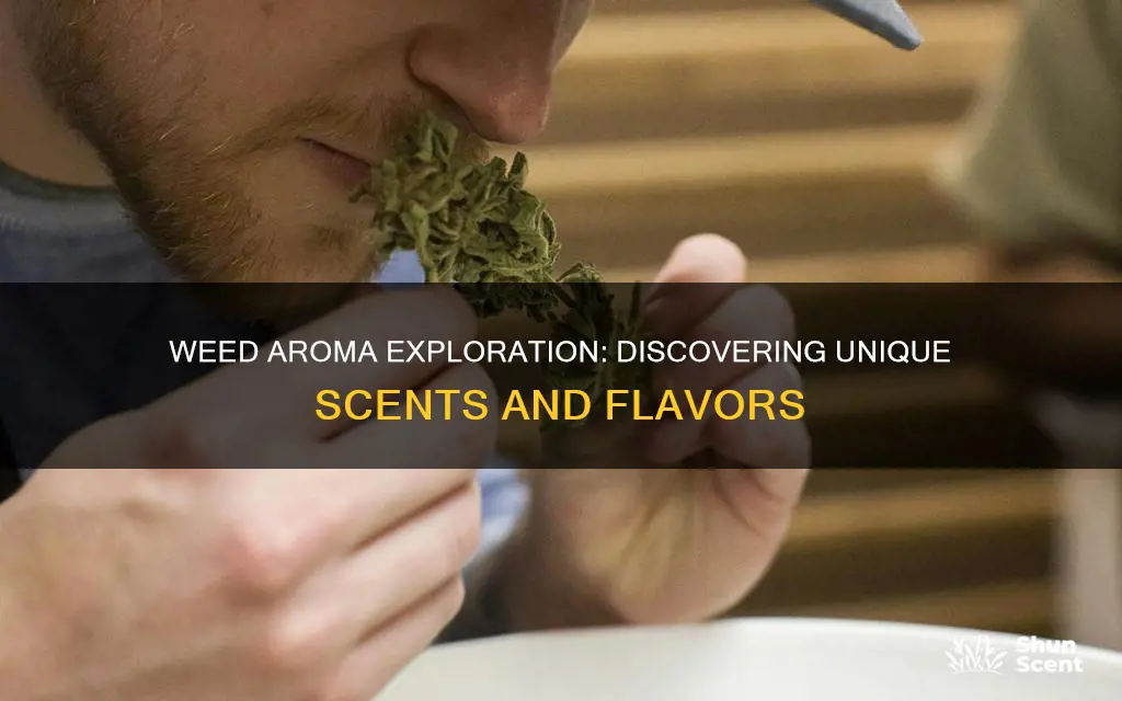 what are the different aromas of weed