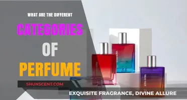 Exploring the Diverse World of Perfume Categories and Fragrance Types