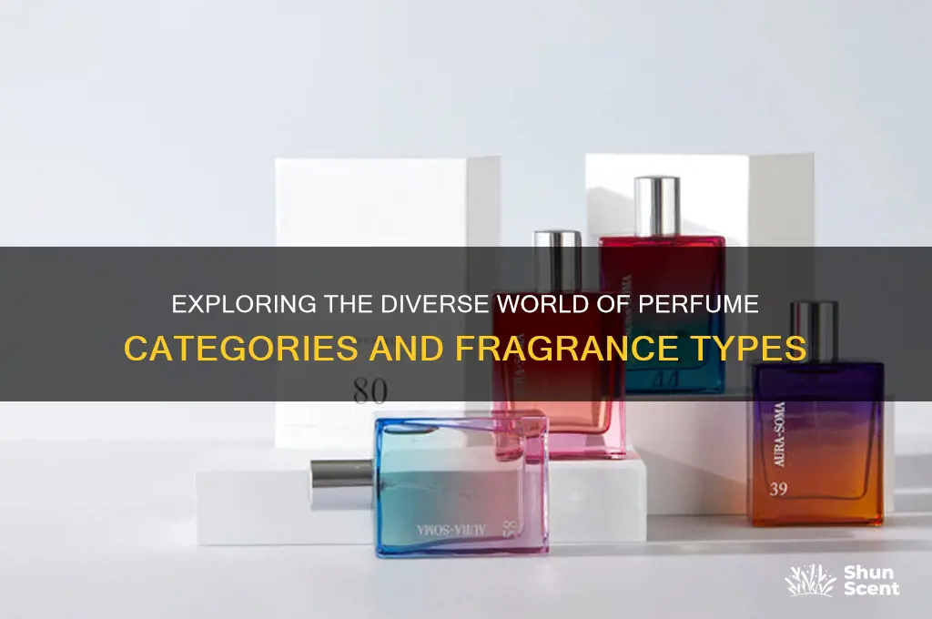 what are the different categories of perfume