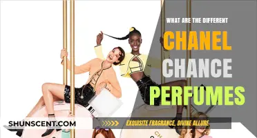 Exploring Chanel Chance Perfumes: A Guide to Each Fragrance