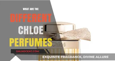 Exploring the Enchanting World of Chloe Perfumes: A Scent Guide