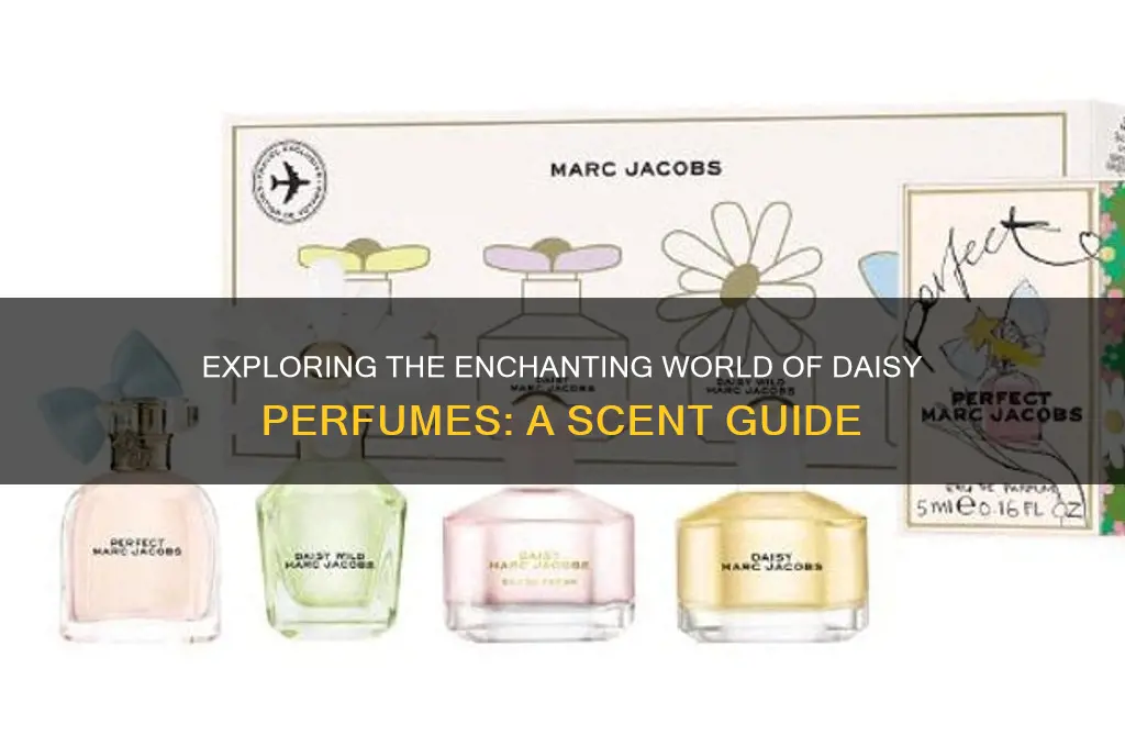 what are the different daisy perfumes