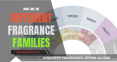 Unveiling the World of Fragrance: Exploring the Diverse Families