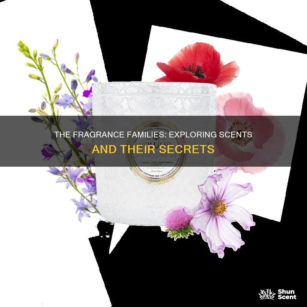what are the different fragrance families