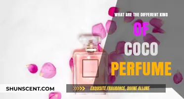 Exploring the Diverse World of Coco-Inspired Perfumes and Scents