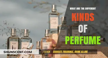 Exploring the Diverse World of Perfume Types and Fragrances
