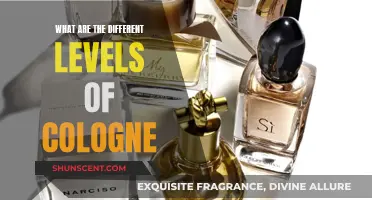 Understanding the Fragrance Pyramid of Colognes