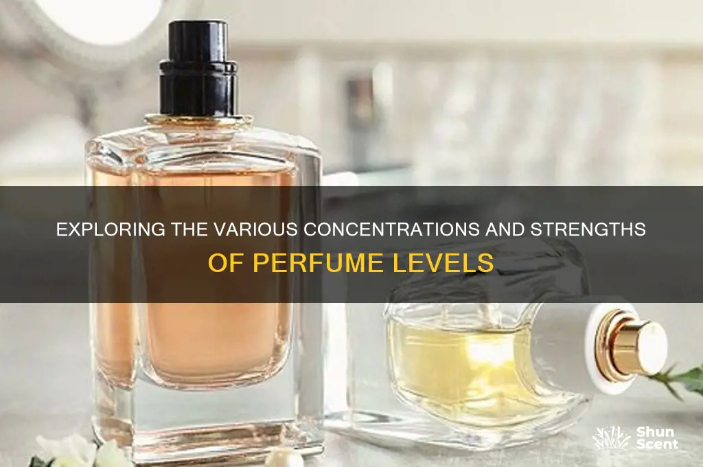 what are the different levels of perfume