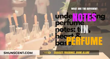 Exploring the Aromatic Notes: A Guide to Perfume's Fragrance Layers