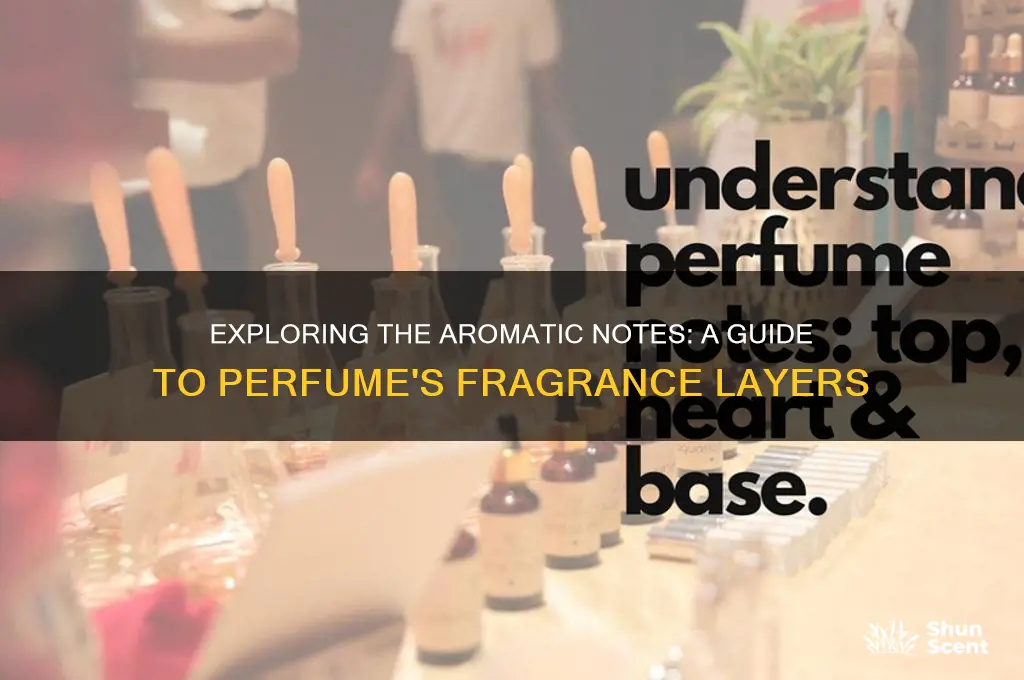 what are the different notes in perfume