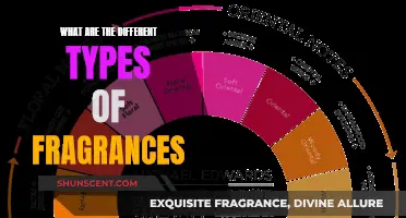 Explore the World of Fragrances: Types and Categories