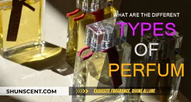 Explore the Fragrance Universe: Types of Perfume