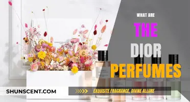 Exploring the Luxurious World of Dior Perfumes: A Scent Guide